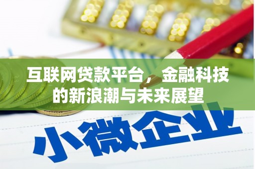 泸水互联网贷款平台，金融科技的新浪潮与未来展望