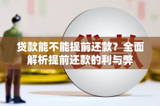 泸水贷款能不能提前还款？全面解析提前还款的利与弊