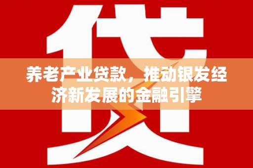 泸水养老产业贷款，推动银发经济新发展的金融引擎