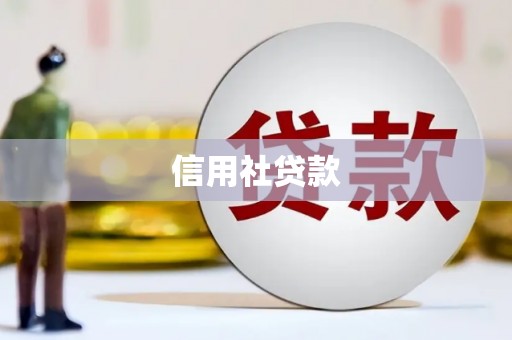 泸水信用社贷款