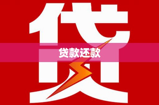 泸水贷款还款