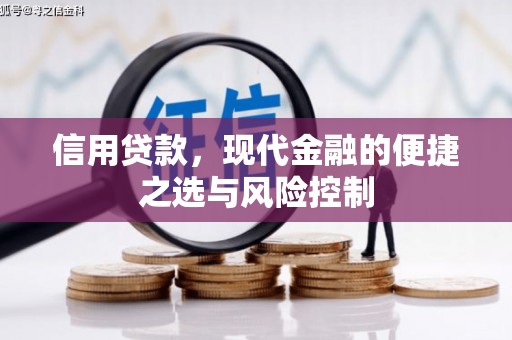 泸水信用贷款，现代金融的便捷之选与风险控制