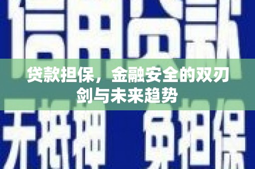 泸水贷款担保，金融安全的双刃剑与未来趋势