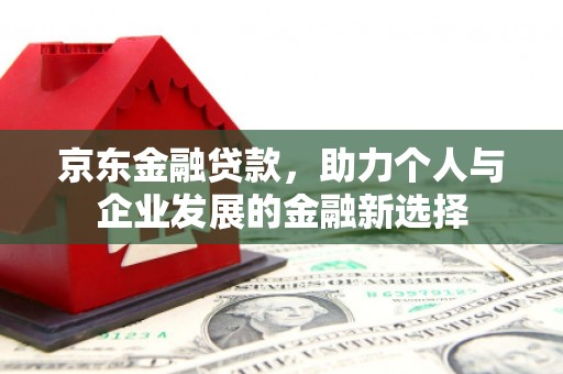 泸水京东金融贷款，助力个人与企业发展的金融新选择