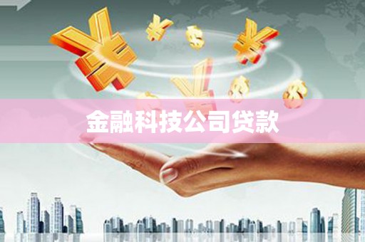 泸水金融科技公司贷款