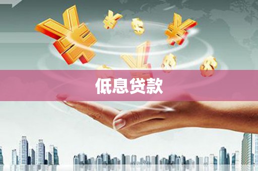泸水低息贷款