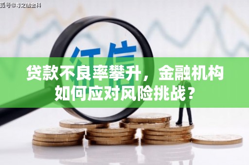 泸水贷款不良率攀升，金融机构如何应对风险挑战？