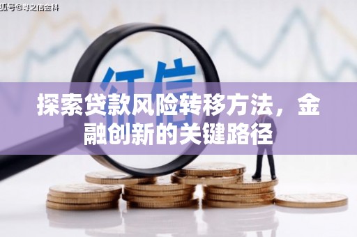 泸水探索贷款风险转移方法，金融创新的关键路径