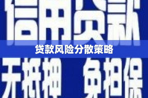 泸水贷款风险分散策略