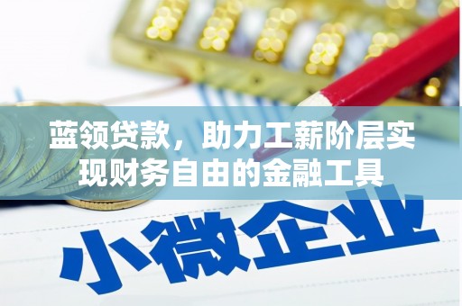 泸水蓝领贷款，助力工薪阶层实现财务自由的金融工具