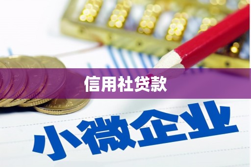 泸水信用社贷款