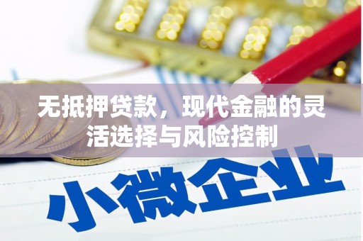 泸水无抵押贷款，现代金融的灵活选择与风险控制