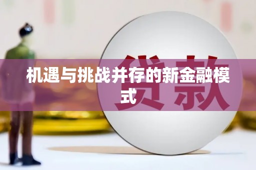 泸水机遇与挑战并存的新金融模式
