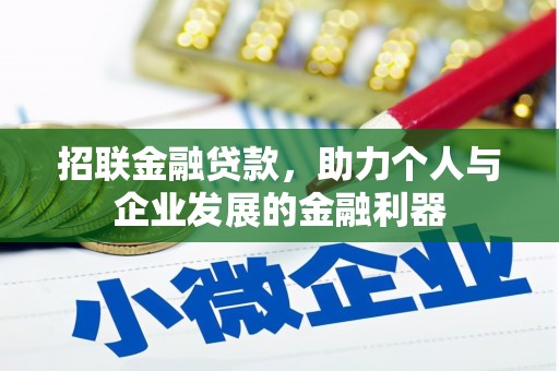 泸水招联金融贷款，助力个人与企业发展的金融利器