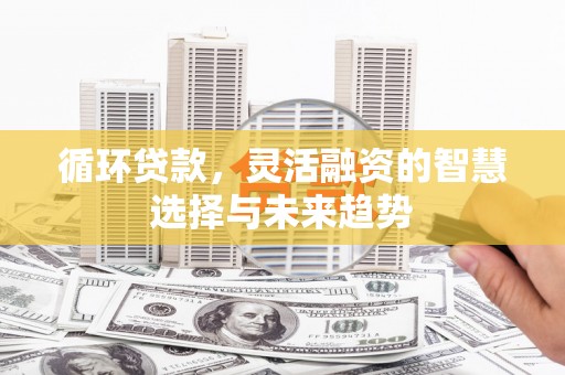 泸水循环贷款，灵活融资的智慧选择与未来趋势