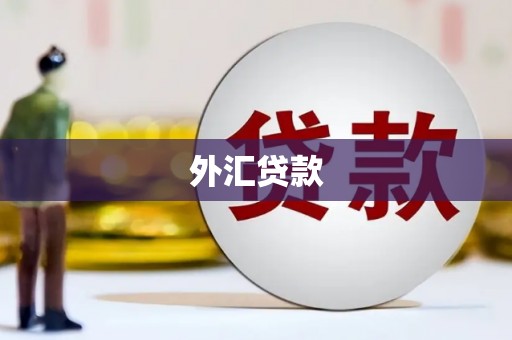 泸水外汇贷款