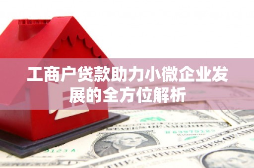 泸水工商户贷款助力小微企业发展的全方位解析