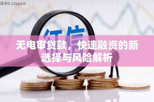 泸水无电审贷款，快速融资的新选择与风险解析