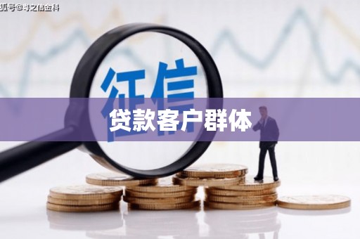泸水贷款客户群体