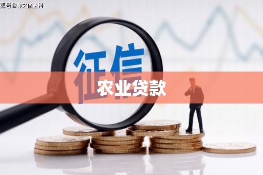 泸水农业贷款