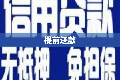 泸水提前还款