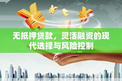 泸水无抵押贷款，灵活融资的现代选择与风险控制