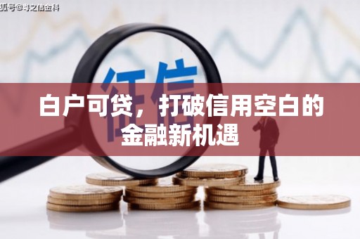 泸水白户可贷，打破信用空白的金融新机遇