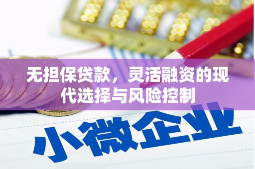 泸水无担保贷款，灵活融资的现代选择与风险控制