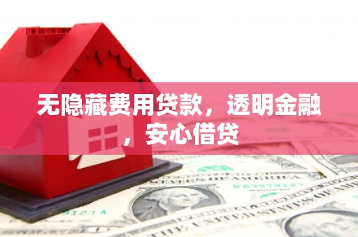 泸水无隐藏费用贷款，透明金融，安心借贷