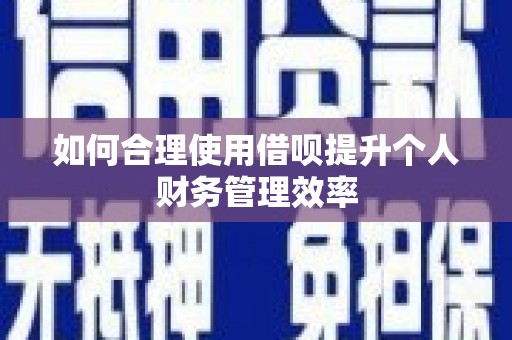 泸水如何合理使用借呗提升个人财务管理效率