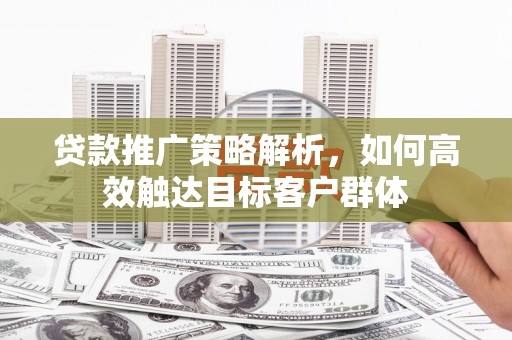泸水贷款推广策略解析，如何高效触达目标客户群体