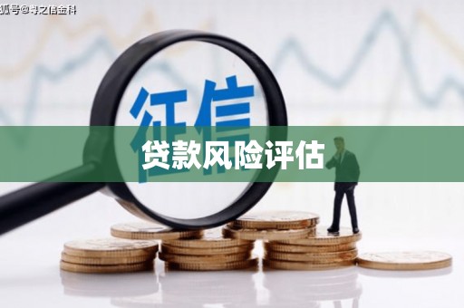 泸水贷款风险评估