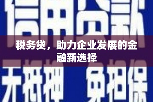 泸水税务贷，助力企业发展的金融新选择