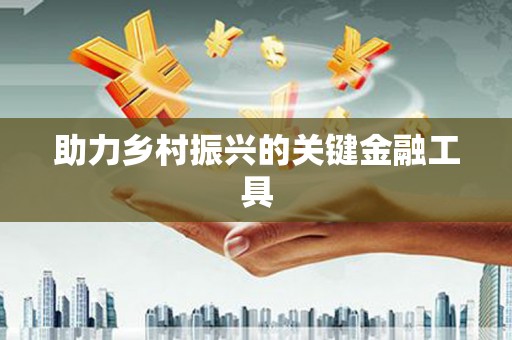 泸水助力乡村振兴的关键金融工具