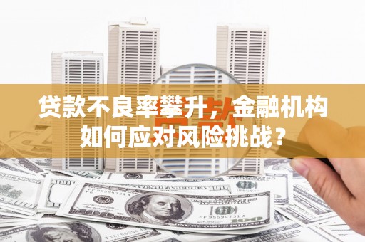 泸水贷款不良率攀升，金融机构如何应对风险挑战？
