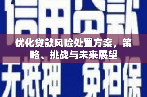 泸水优化贷款风险处置方案，策略、挑战与未来展望