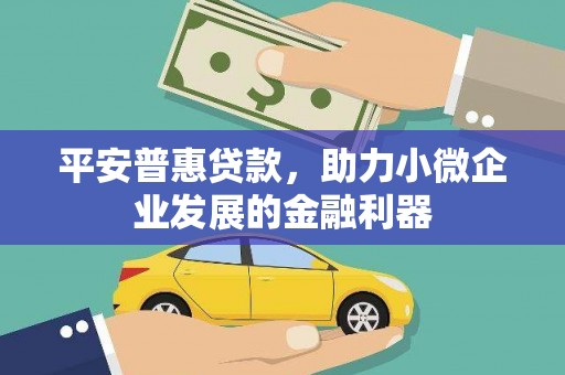泸水平安普惠贷款，助力小微企业发展的金融利器