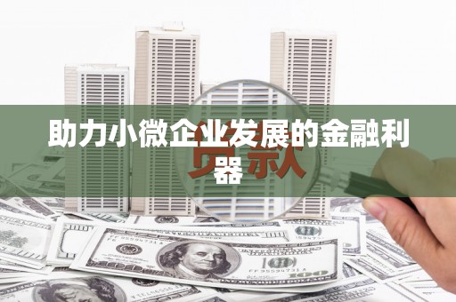 泸水助力小微企业发展的金融利器
