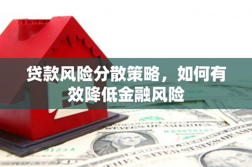 泸水贷款风险分散策略，如何有效降低金融风险