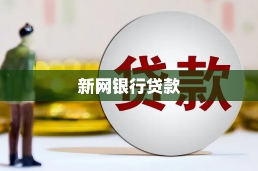 泸水新网银行贷款