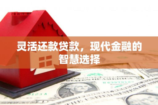 泸水灵活还款贷款，现代金融的智慧选择