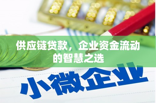 泸水供应链贷款，企业资金流动的智慧之选