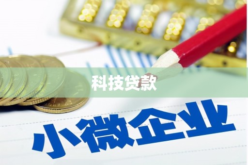泸水科技贷款