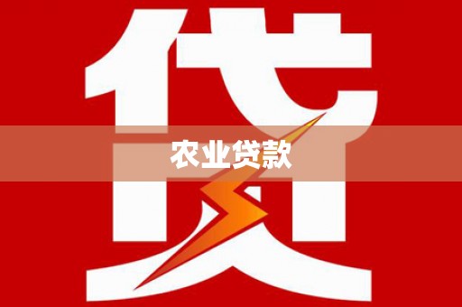泸水农业贷款