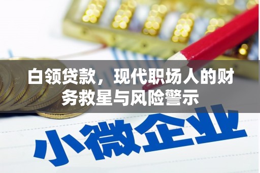 泸水白领贷款，现代职场人的财务救星与风险警示