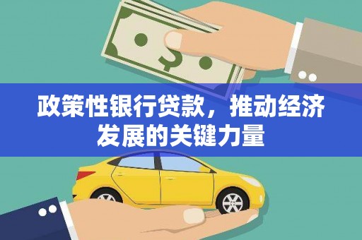 泸水政策性银行贷款，推动经济发展的关键力量