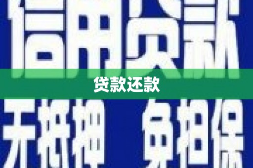 泸水贷款还款