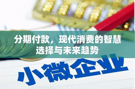 泸水分期付款，现代消费的智慧选择与未来趋势