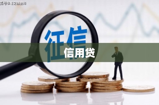 泸水信用贷