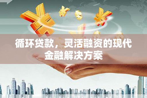 泸水循环贷款，灵活融资的现代金融解决方案